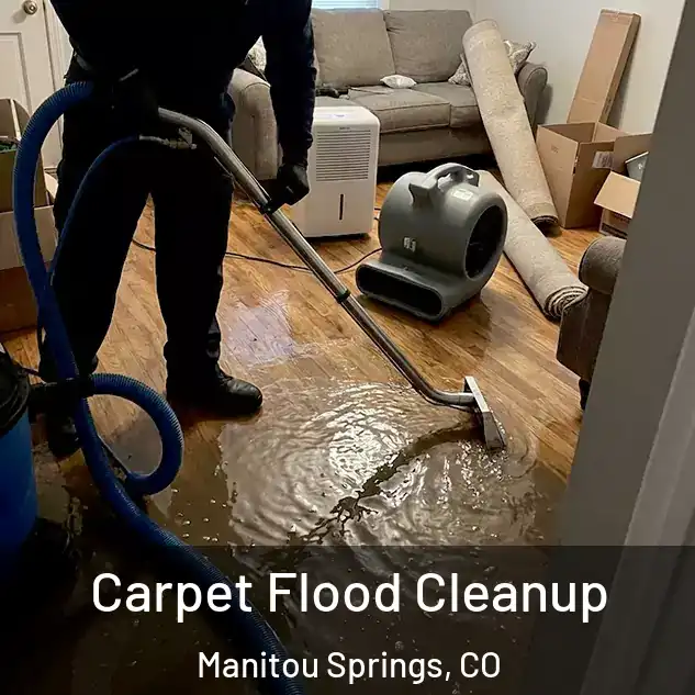  Carpet Flood Cleanup Manitou Springs, CO