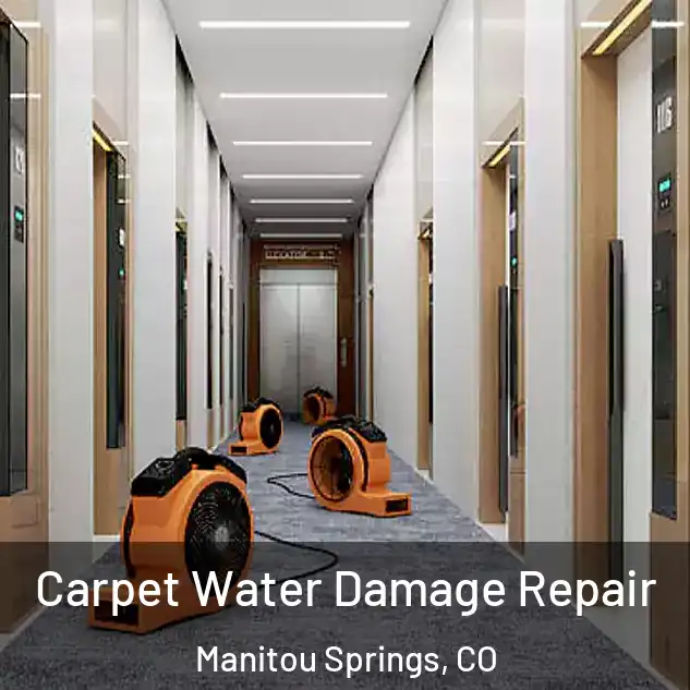  Carpet Water Damage Repair Manitou Springs, CO