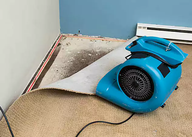 Your Water Damage Experts in Manitou Springs, CO