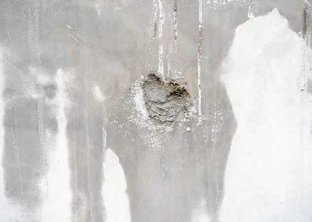Your Mold Mitigation Solutions Partner in Manitou Springs, CO