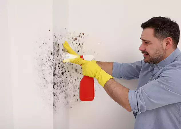 Your Water Mold Fire Restoration Partner in Manitou Springs, CO