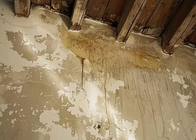 Your Trusted Restoration Company in Manitou Springs, CO