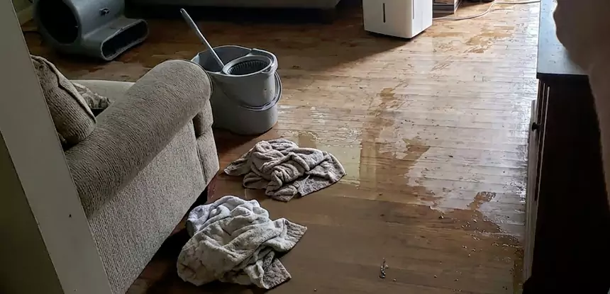 Professional Basement Water Remediation Services in Manitou Springs, CO