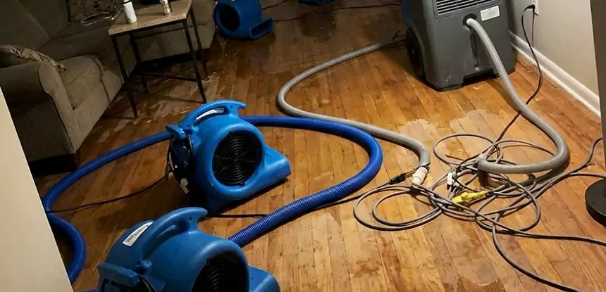 Basement Flood Restoration Services in Manitou Springs