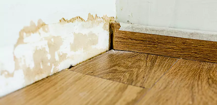 Professional Fix Water Damaged Wood Services in Manitou Springs, CO