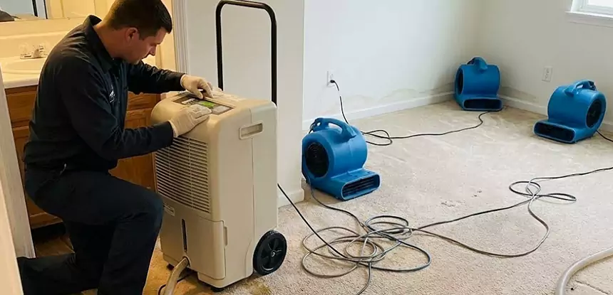 Professional Wet Carpet Removal Services in Manitou Springs, CO