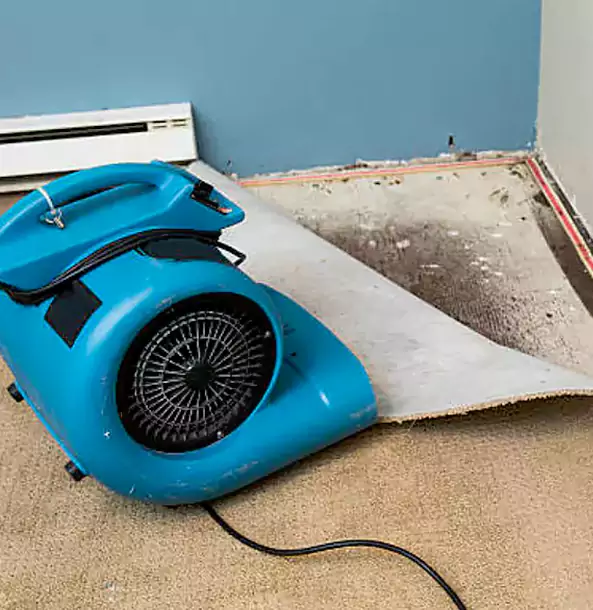 Why Manitou Springs Trusts Manitou Springs Restoration Pro for Carpet Flood Recovery?