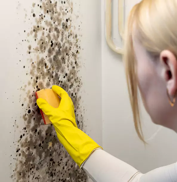 Why Manitou Springs Restoration Pro Leads Mold Remediation in Manitou Springs?