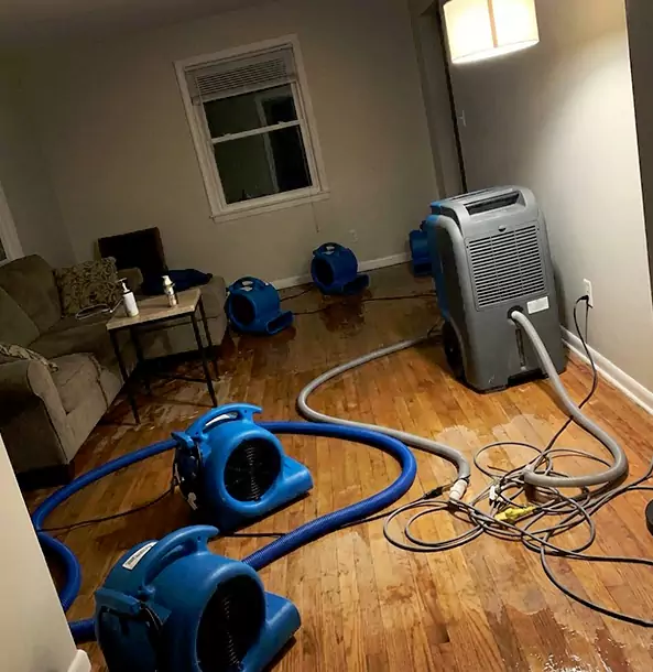 Why Manitou Springs Property Owners Rely on Manitou Springs Restoration Pro for Remediation?