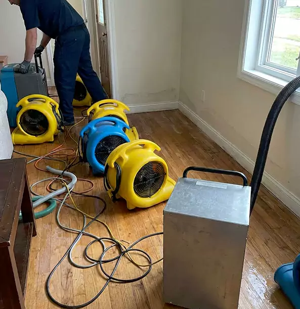 Why Manitou Springs Property Owners Choose Manitou Springs Restoration Pro for Remediation?