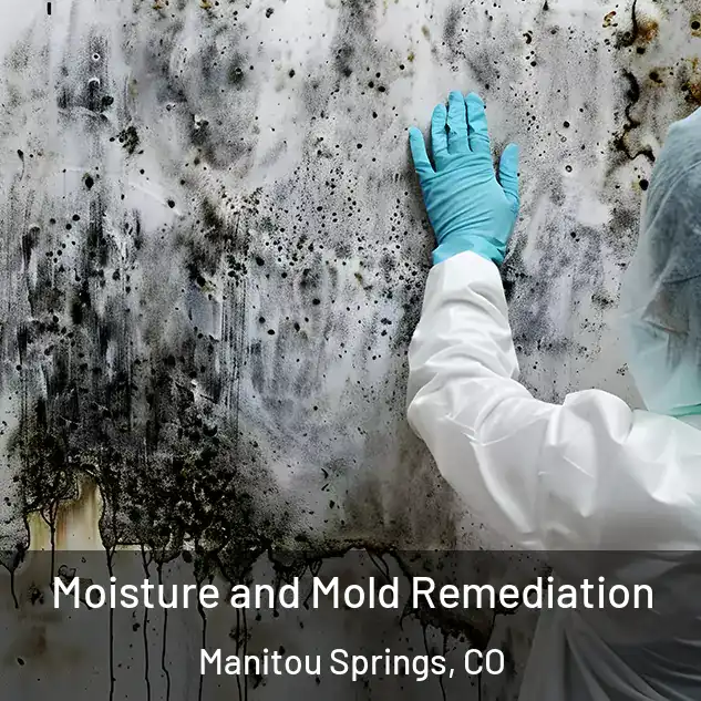  Moisture and Mold Remediation Manitou Springs, CO