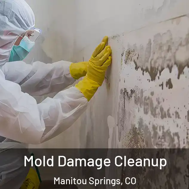  Mold Damage Cleanup Manitou Springs, CO
