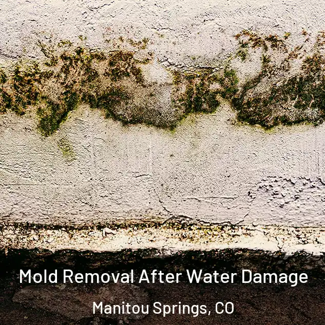  Mold Removal After Water Damage Manitou Springs, CO