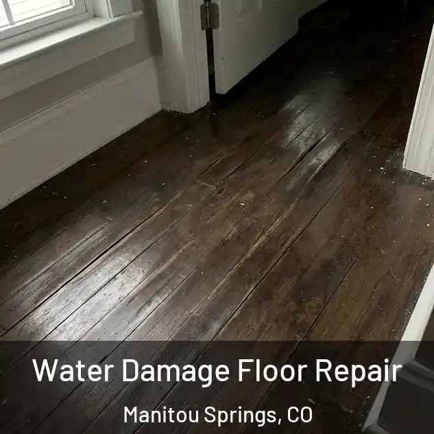  Water Damage Floor Repair Manitou Springs, CO