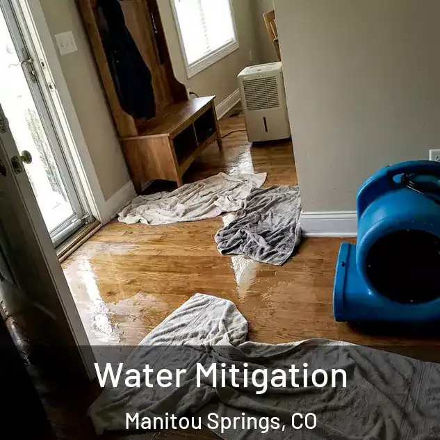  Water Mitigation Manitou Springs, CO