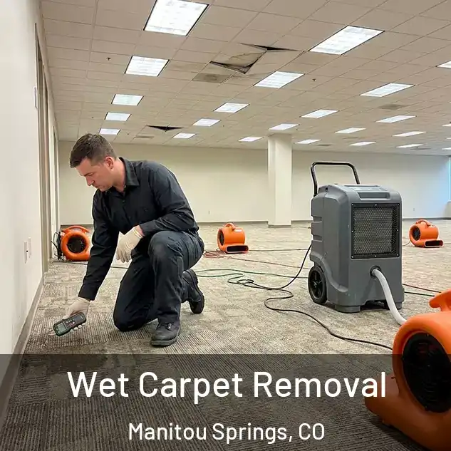  Wet Carpet Removal Manitou Springs, CO